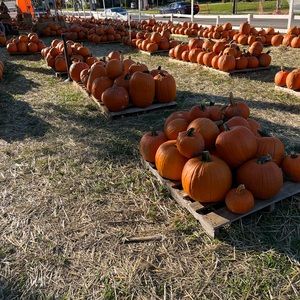 Meet your Posher, Lenny